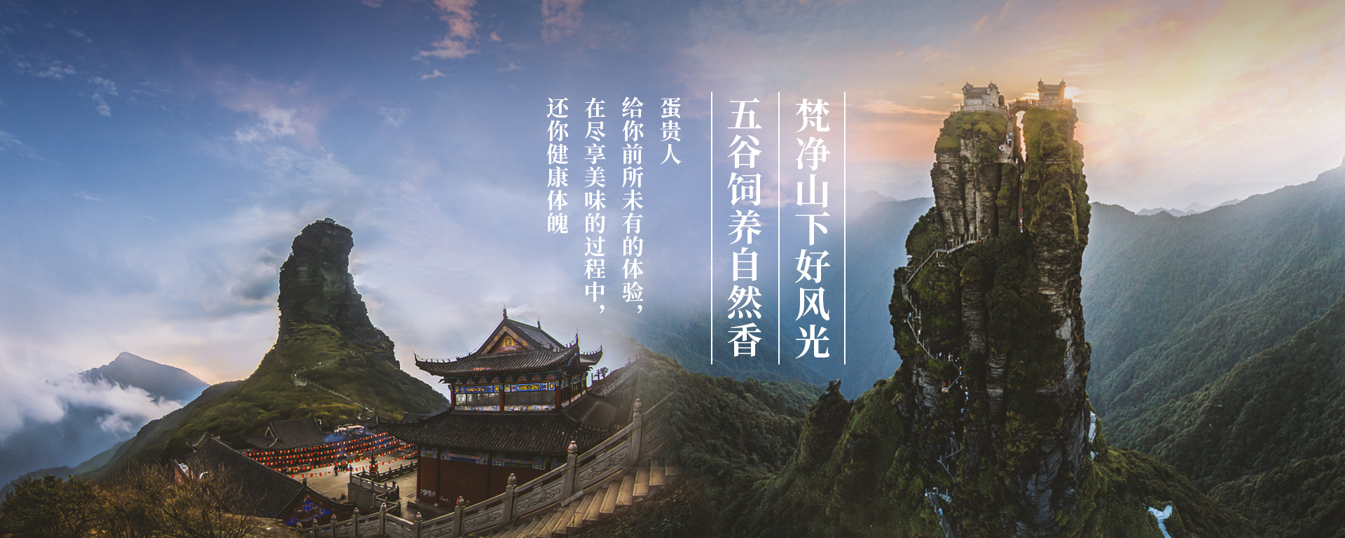 公司簡(jiǎn)介